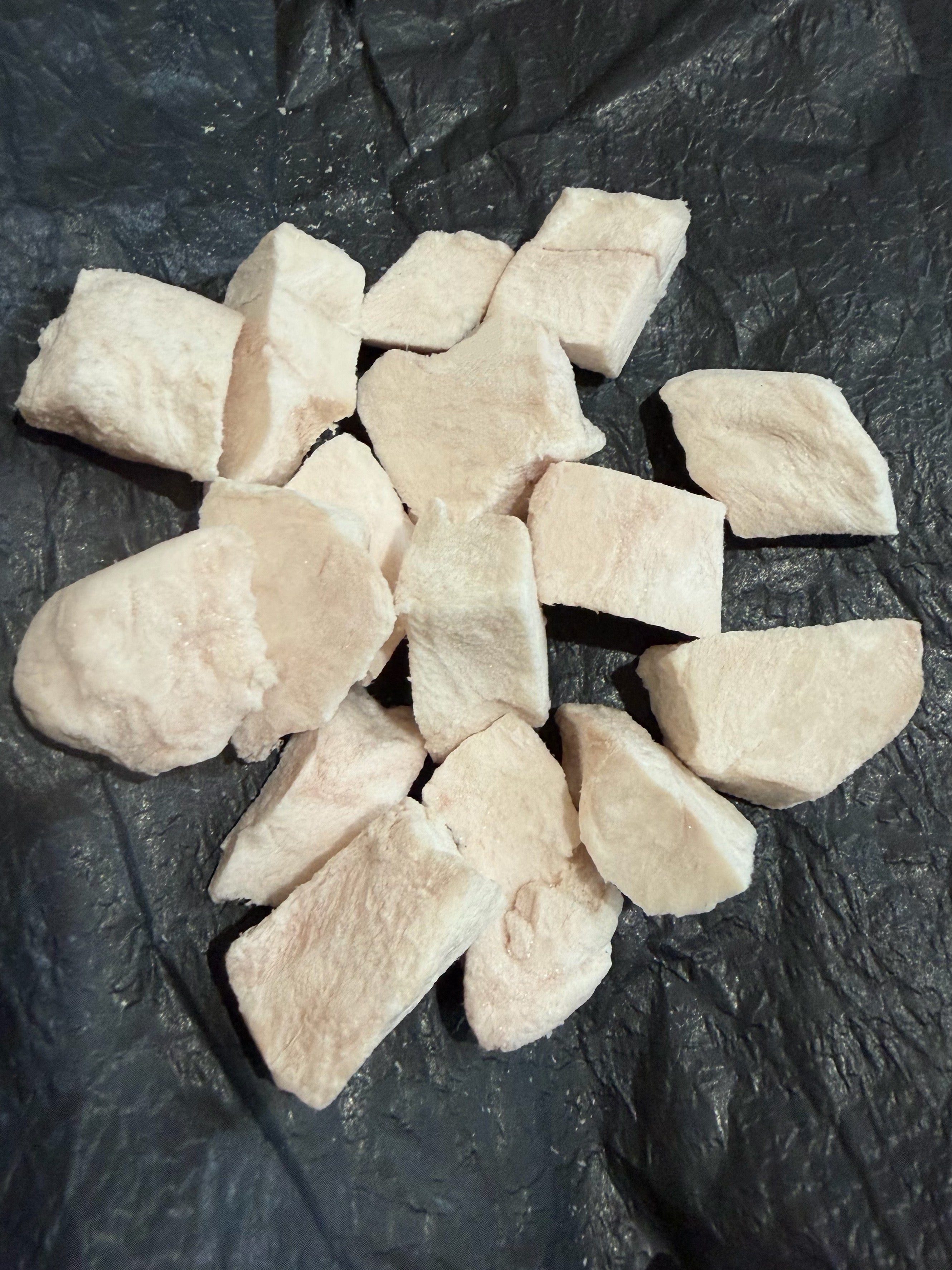 dobido crocodile tail meat 20g freeze dried treat for pets