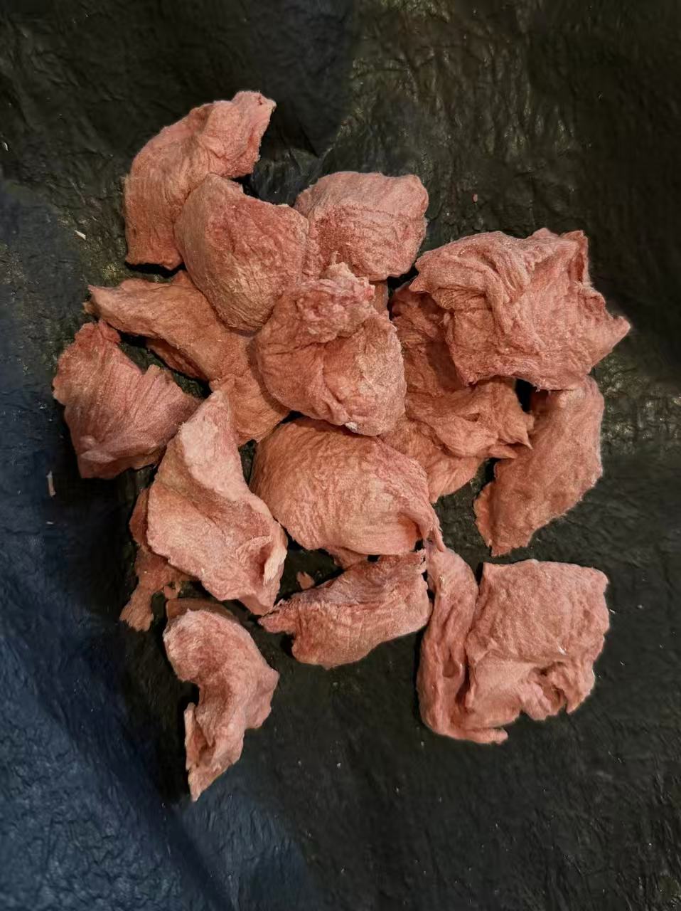 dobido camel 50g freeze dried treat for pets