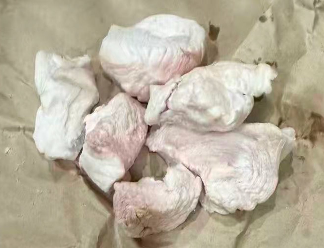 dobido crocodile body 50g freeze dried treat for pets